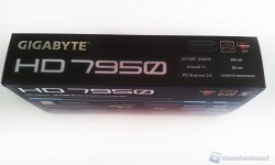 7950_1