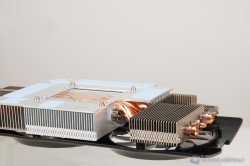 7950_36